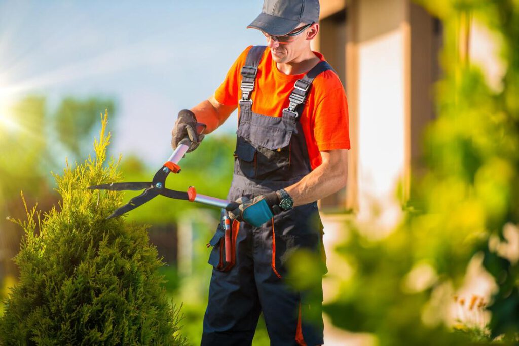 north-richland-hills-tree-service-tree-shrub-trimming-1_orig